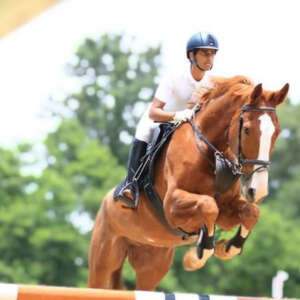 Horse-Riding