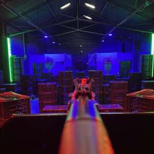 Nerf Battle