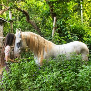 Horsemanship Session