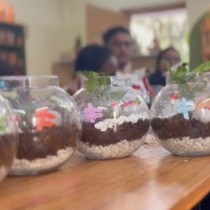 Terrarium